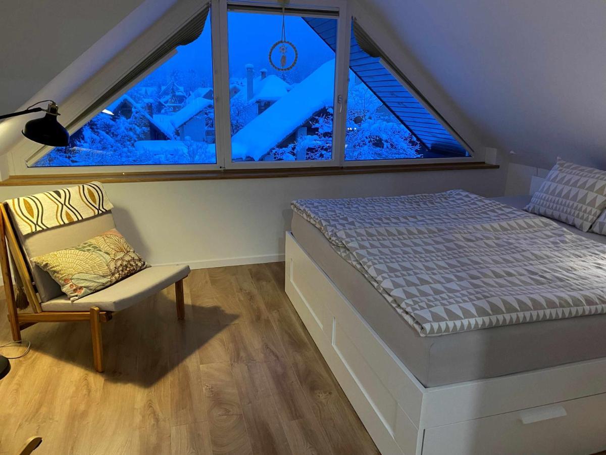 Apartment Zidana Marela - Attic With A View Kranjska Gora Eksteriør bilde