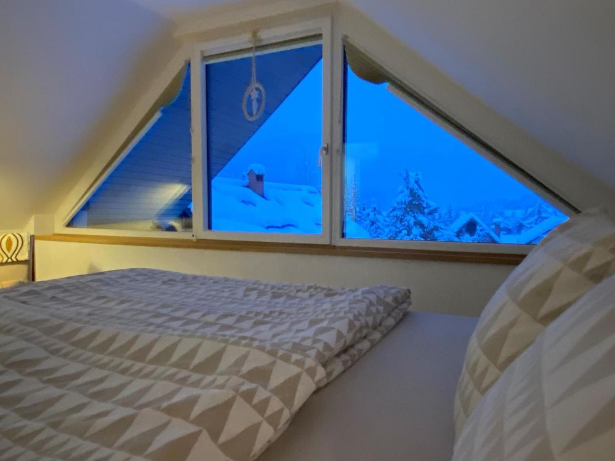 Apartment Zidana Marela - Attic With A View Kranjska Gora Eksteriør bilde